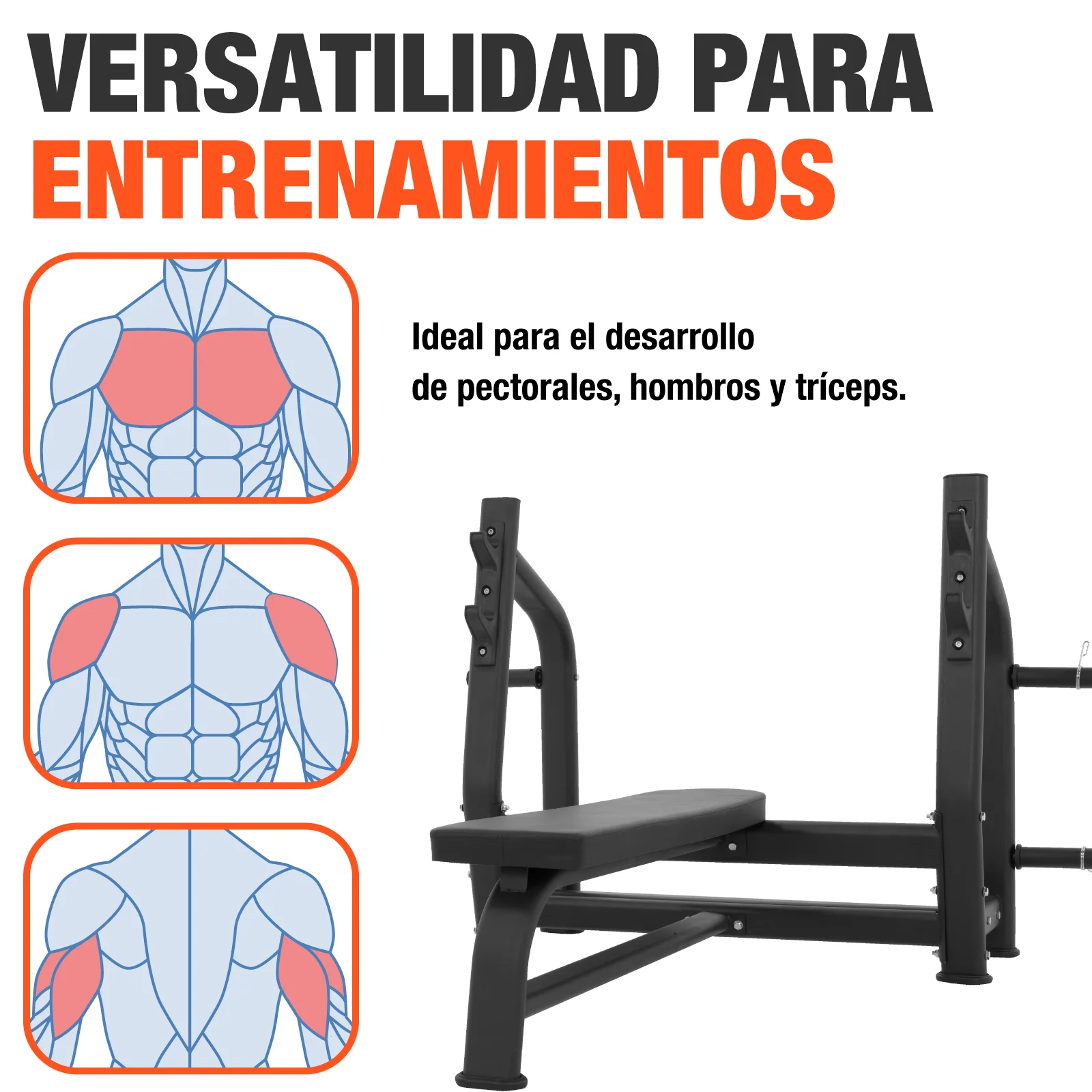 Imagen del producto 5
