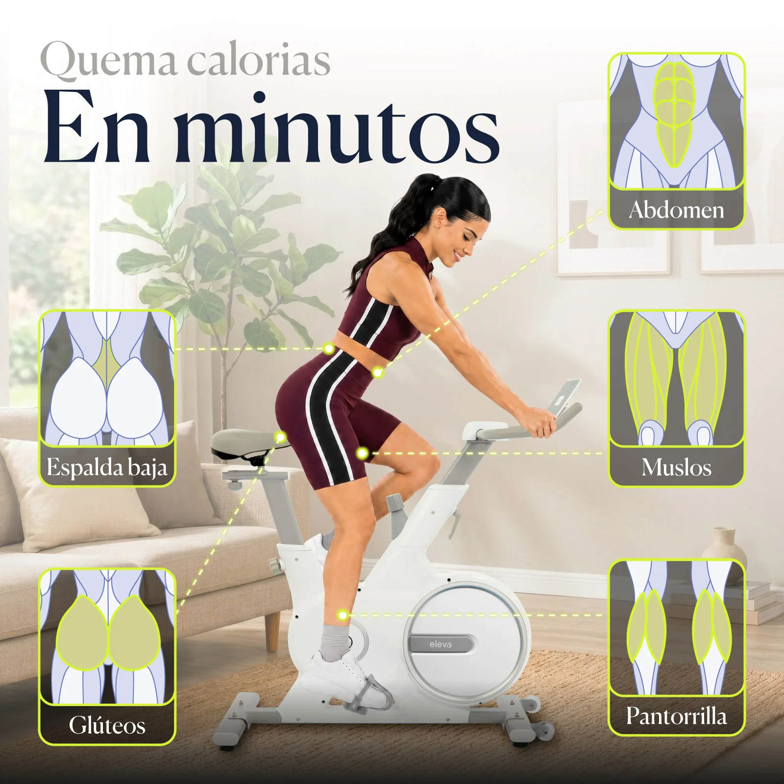 Imagen del producto 15