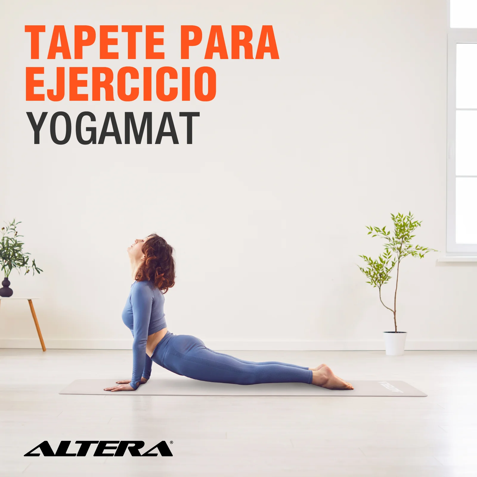 Imagen del producto 12